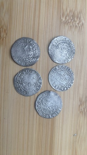 Pölker unter der herrschaft - der,
